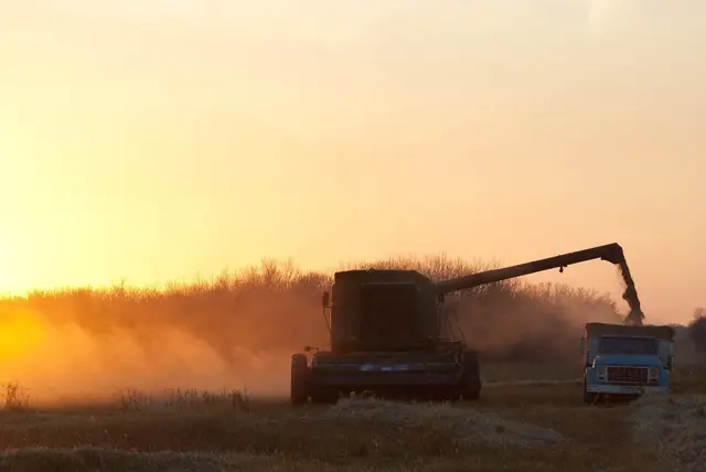 Harvest at sunset: combine unloading into a grain truck